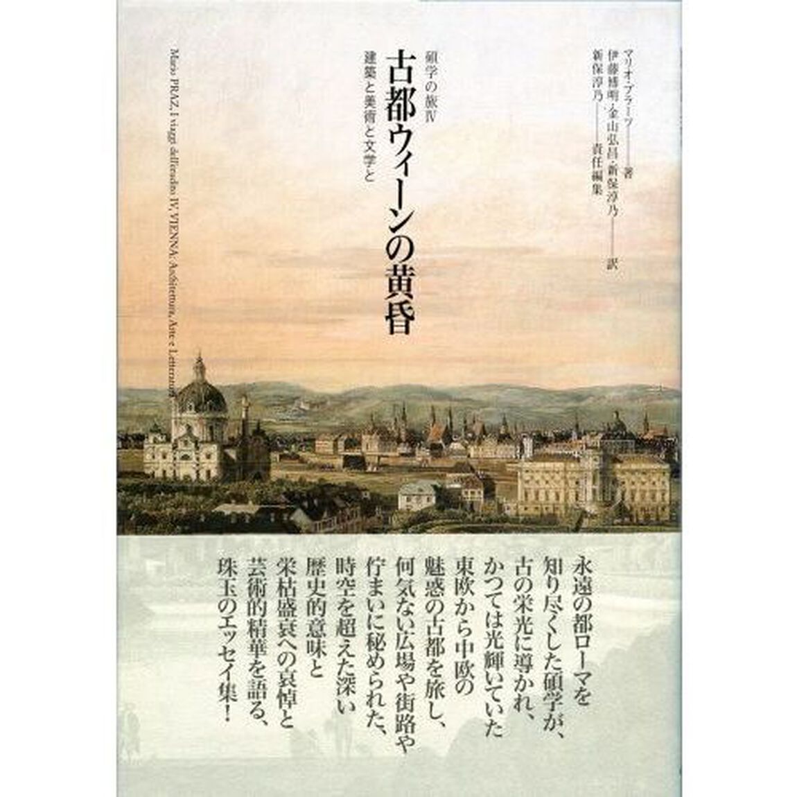 古都ウィーンの黄昏　建築と美術と文学と