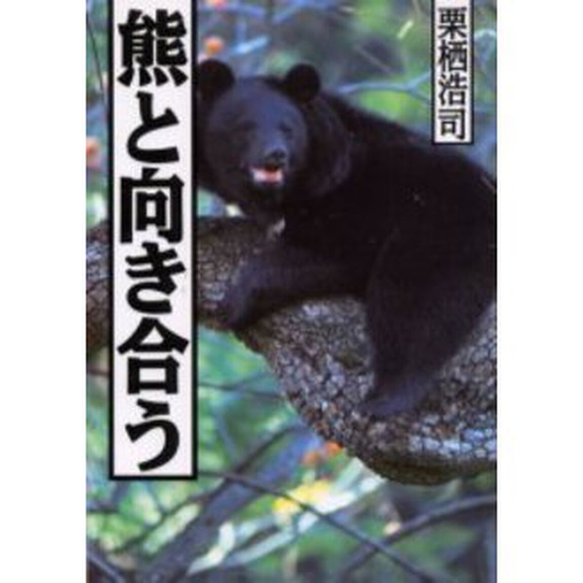 熊と向き合う
