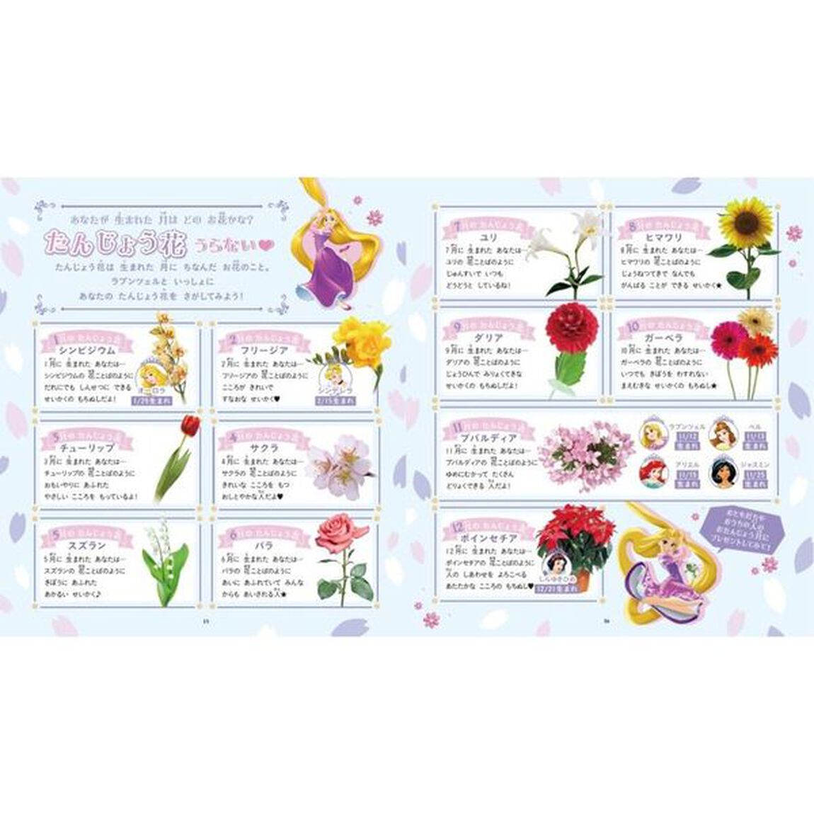 ディズニープリンセスとたのしむ　ときめき花ずかん