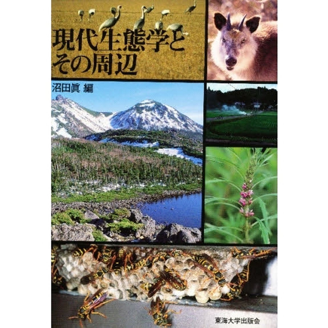現代生態学とその周辺