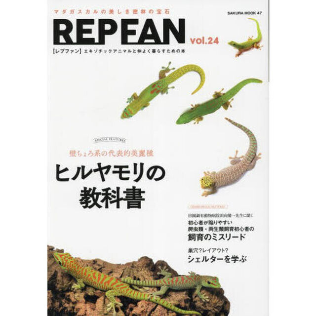 ＲＥＰ　ＦＡＮ　エキゾチックアニマルと仲よく暮らすための本　ｖｏｌ．２４「ヒルヤモリの教科書　壁ちょろ系の代表的美麗種」