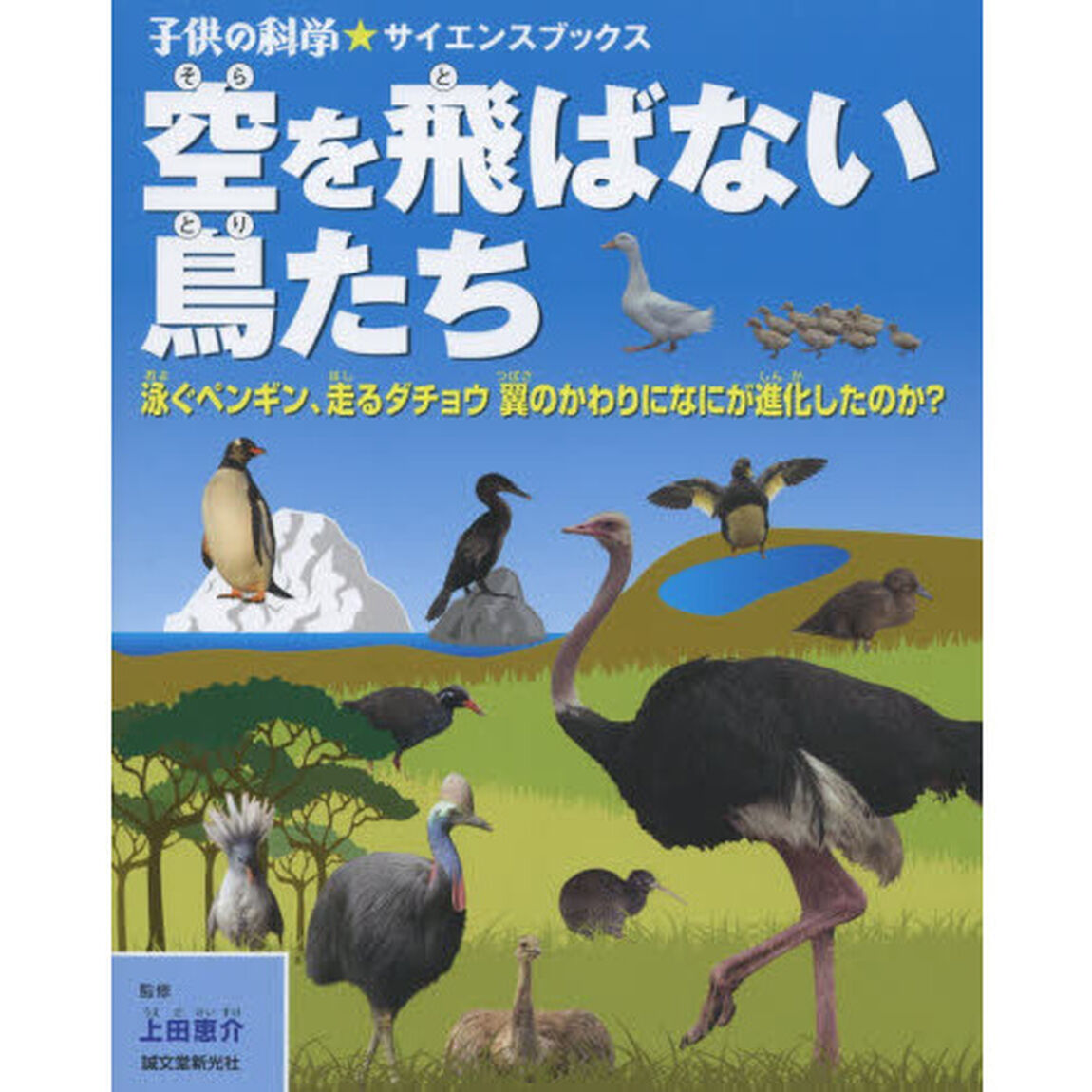 空を飛ばない鳥たち　泳ぐペンギン、走るダチョウ翼のかわりになにが進化したのか？