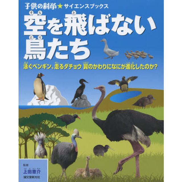 空を飛ばない鳥たち　泳ぐペンギン、走るダチョウ翼のかわりになにが進化したのか？