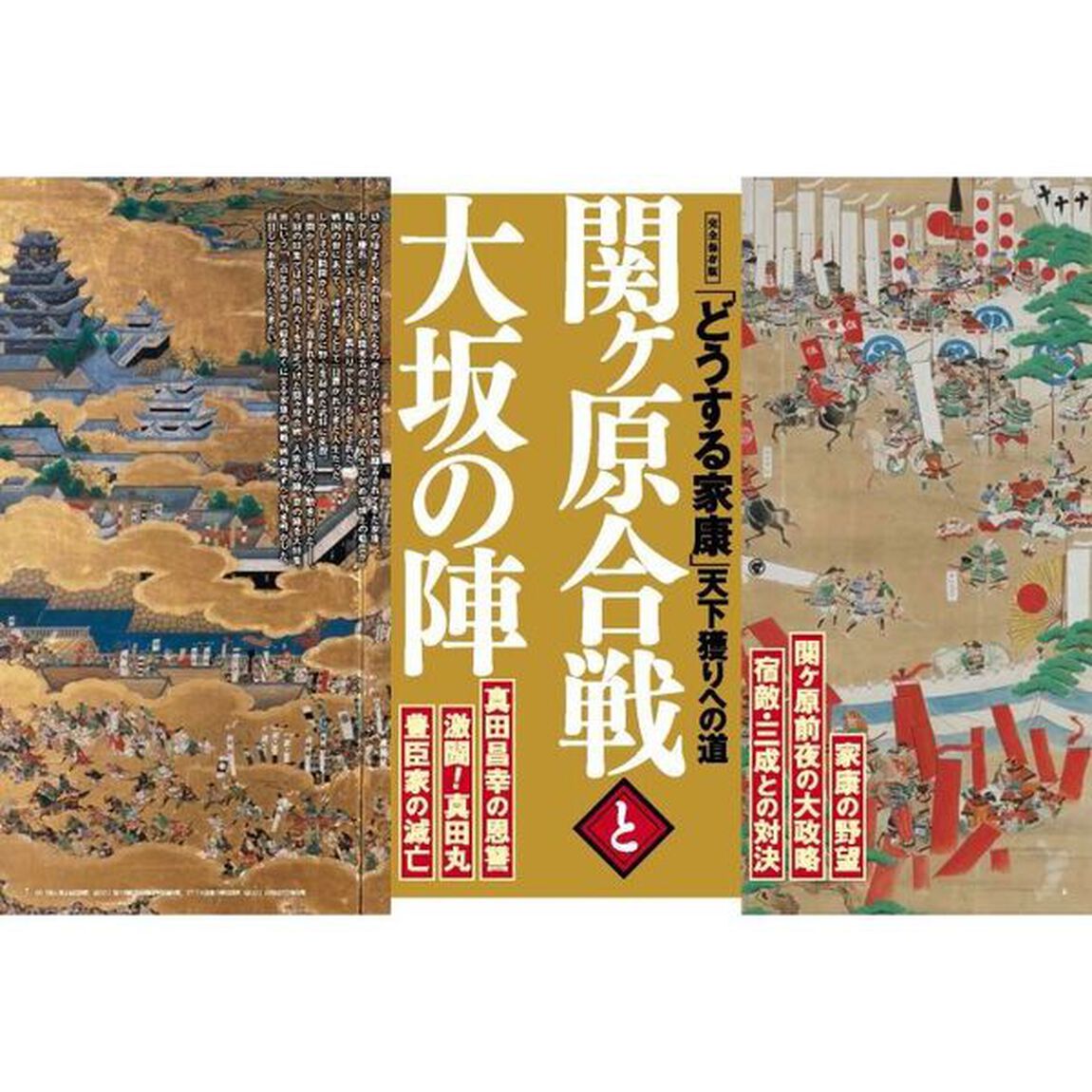歴史道　Ｖｏｌ．３０「関ヶ原合戦と大坂の陣　〈完全保存版〉「どうする家康」天下獲りへの道」