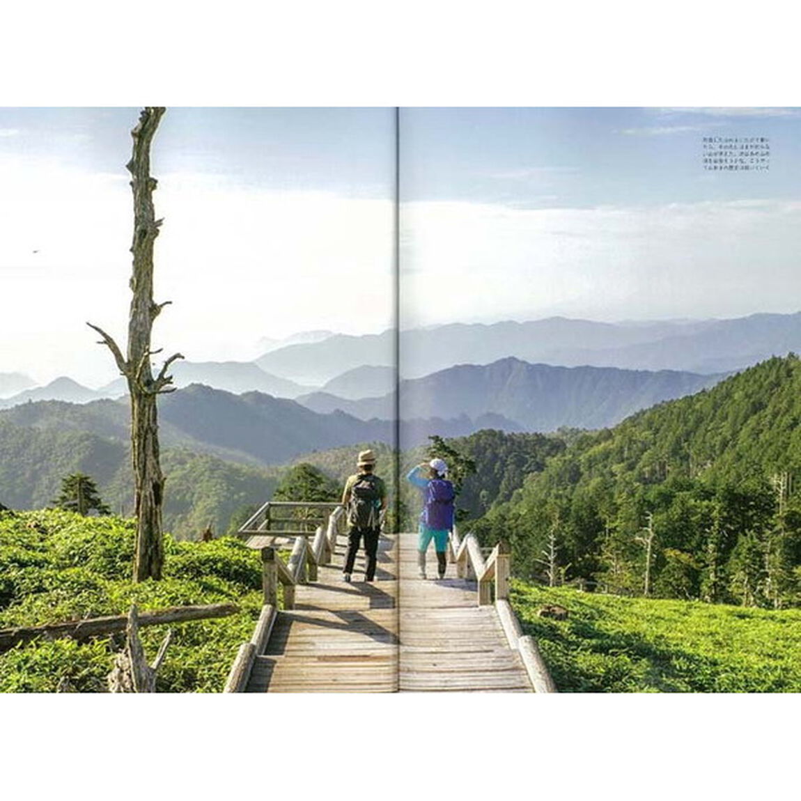 京都・奈良・鎌倉を歩いて旅する古都ハイキングＢＯＯＫ