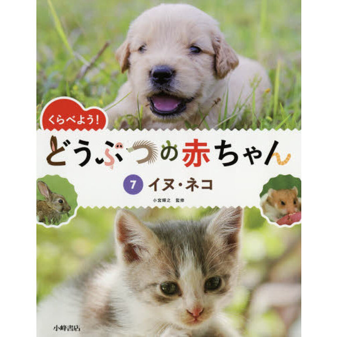 くらべよう！どうぶつの赤ちゃん　７「イヌ・ネコ」