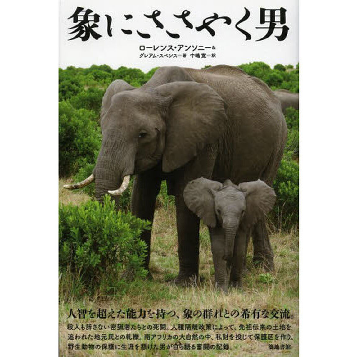 象にささやく男