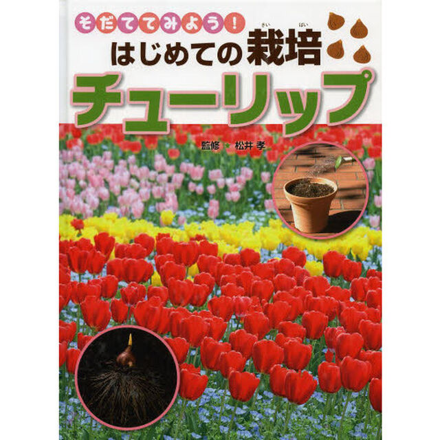 チューリップ
