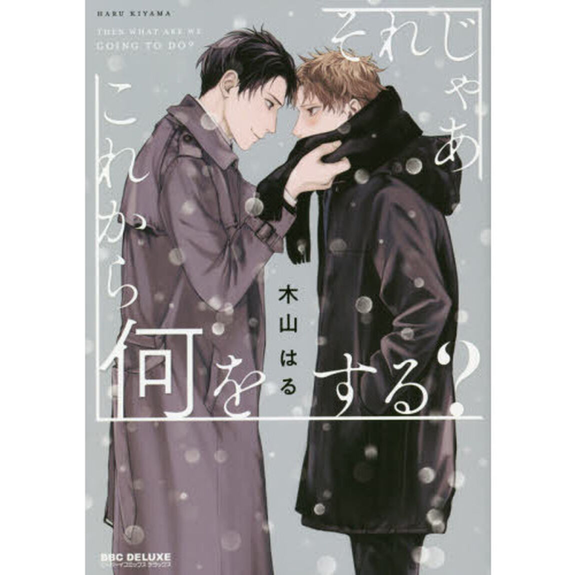 それじゃあこれから何をする？