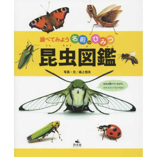昆虫図鑑