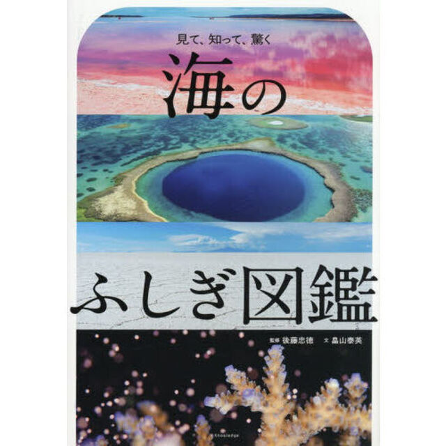 海のふしぎ図鑑　見て、知って、驚く