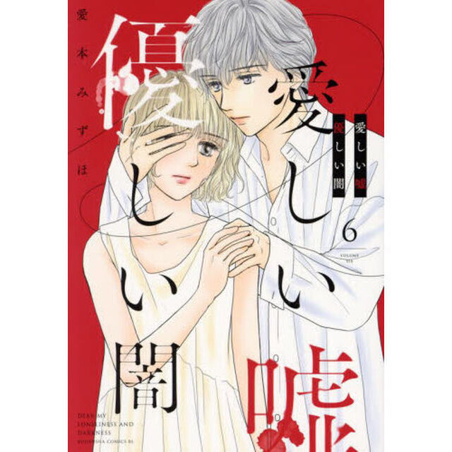 愛しい嘘優しい闇　６