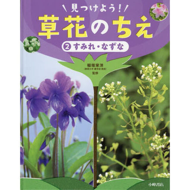 見つけよう！草花のちえ　２「すみれ・なずな」