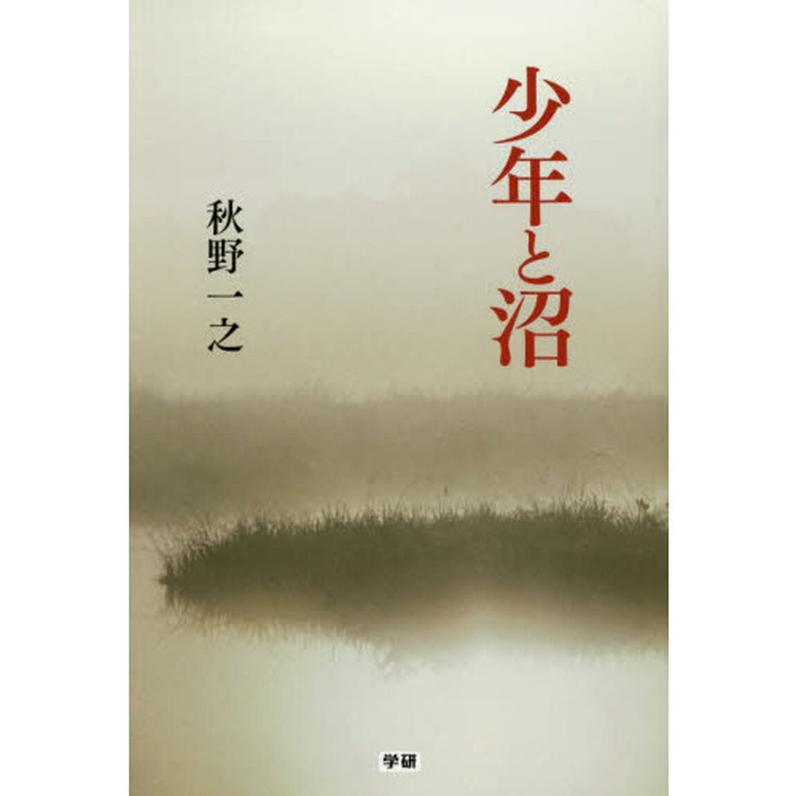 少年と沼