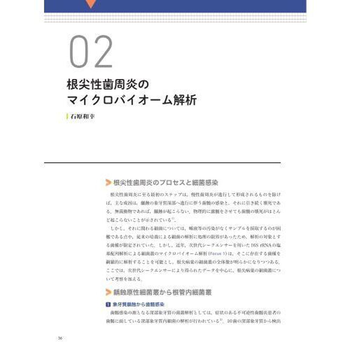 細菌学的アプローチによる歯内療法の臨床　バイオフィルム感染症として捉え解決に導く
