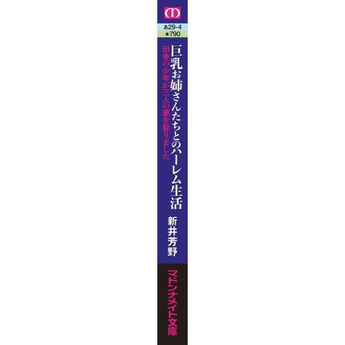 巨乳お姉さんたちとのハーレム生活　田舎の少年が三人の妻を娶りました