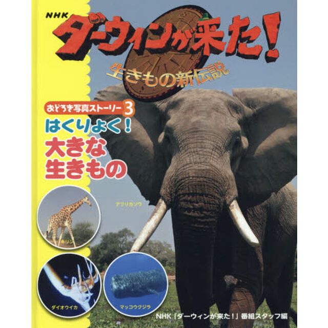 ＮＨＫダーウィンが来た！生きもの新伝説おどろき写真ストーリー　３「はくりょく！大きな生きもの」