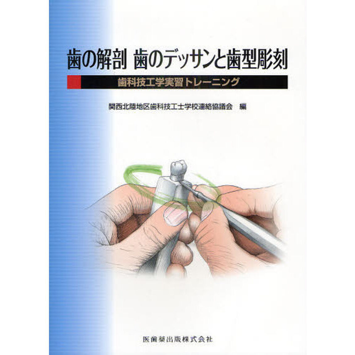 歯の解剖歯のデッサンと歯型彫刻　歯科技工学実習トレーニング