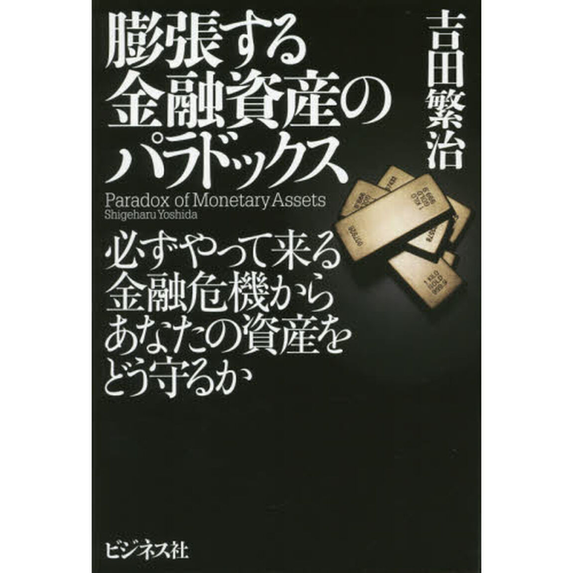 膨張する金融資産のパラドックス　必ずやって来る金融危機からあなたの資産をどう守るか