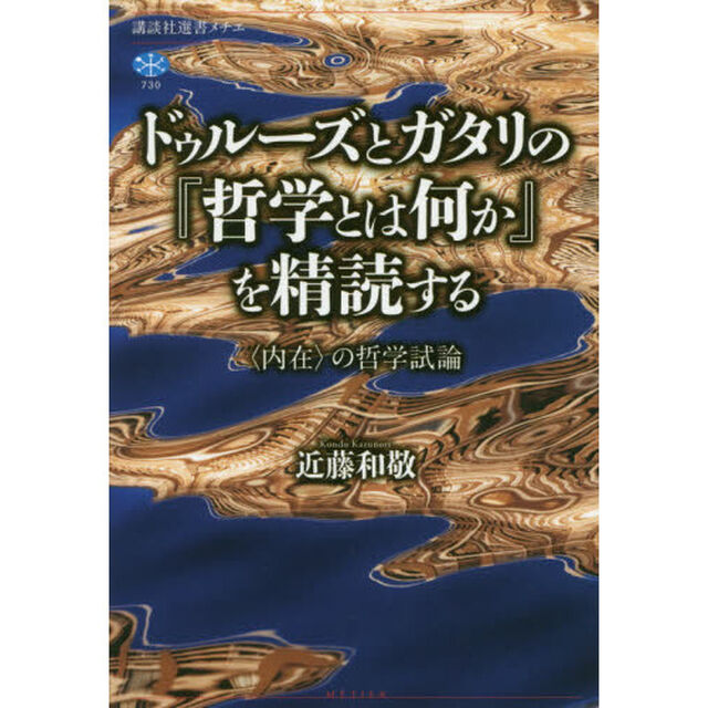 ドゥルーズとガタリの『哲学とは何か』を精読する　〈内在〉の哲学試論