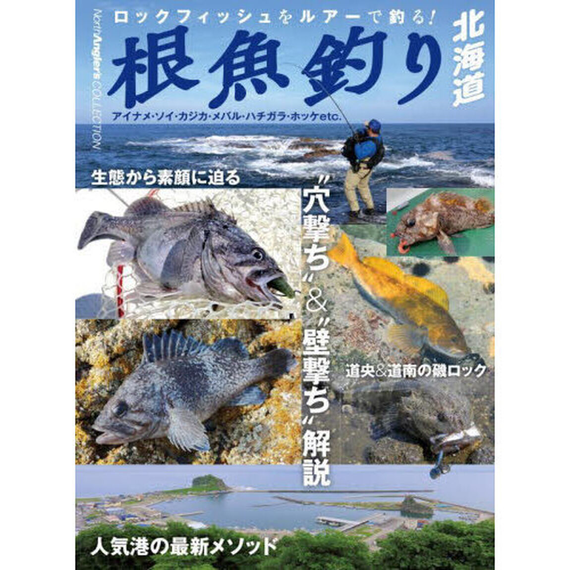 根魚釣り北海道　ロックフィッシュをルアーで釣る！　アイナメ・ソイ・カジカ・メバル・ハチガラ・ホッケｅｔｃ．