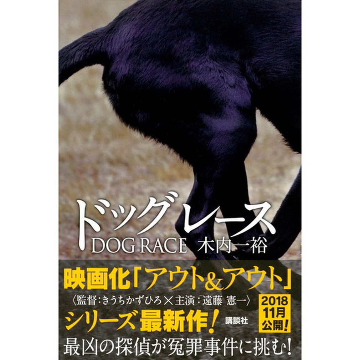 ドッグレース