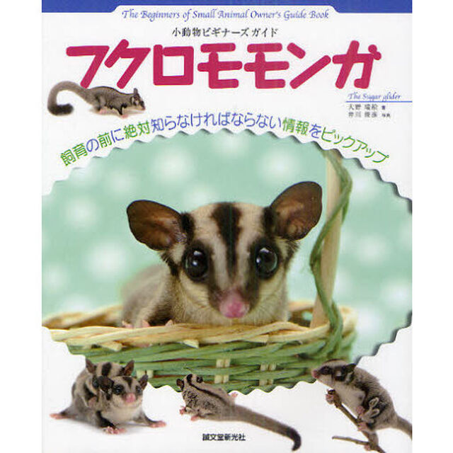 フクロモモンガ