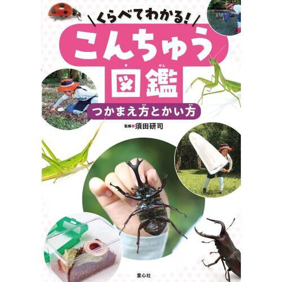 くらべてわかる！こんちゅう図鑑　〔１〕「つかまえ方とかい方」