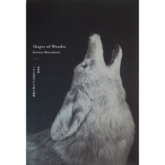Ｓｈａｐｅｓ　ｏｆ　Ｗｏｎｄｅｒ　つやま自然のふしぎ館全剥製