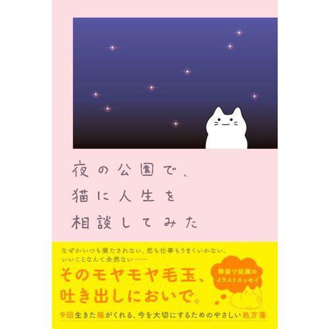夜の公園で、猫に人生を相談してみた