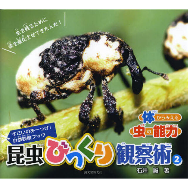 昆虫びっくり観察術　すごいのみーっけ！自然観察ブック　２「体からみえる虫の能力」