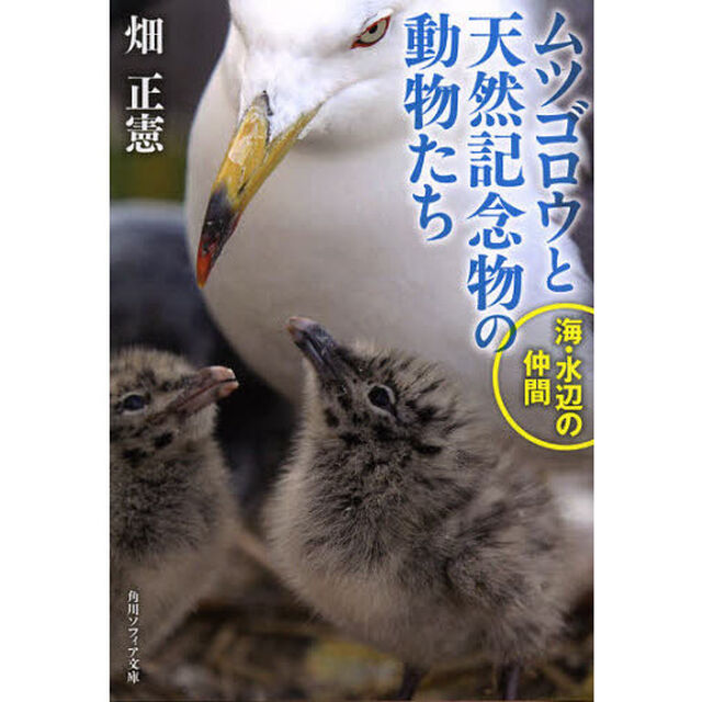 ムツゴロウと天然記念物の動物たち　海・水辺の仲間