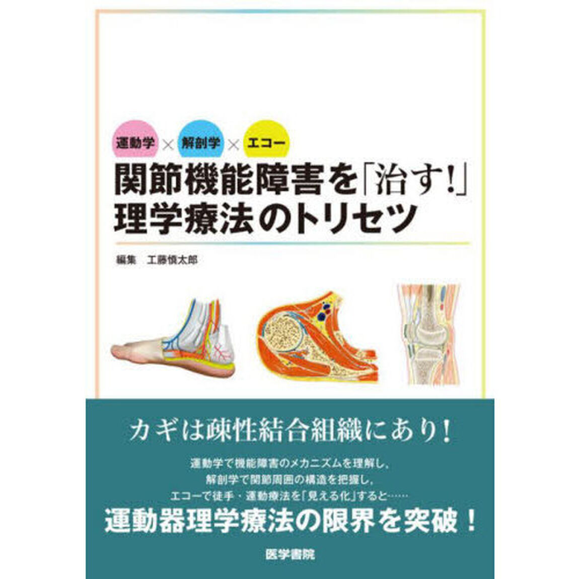 関節機能障害を「治す！」理学療法のトリセツ　運動学&times;解剖学&times;エコー