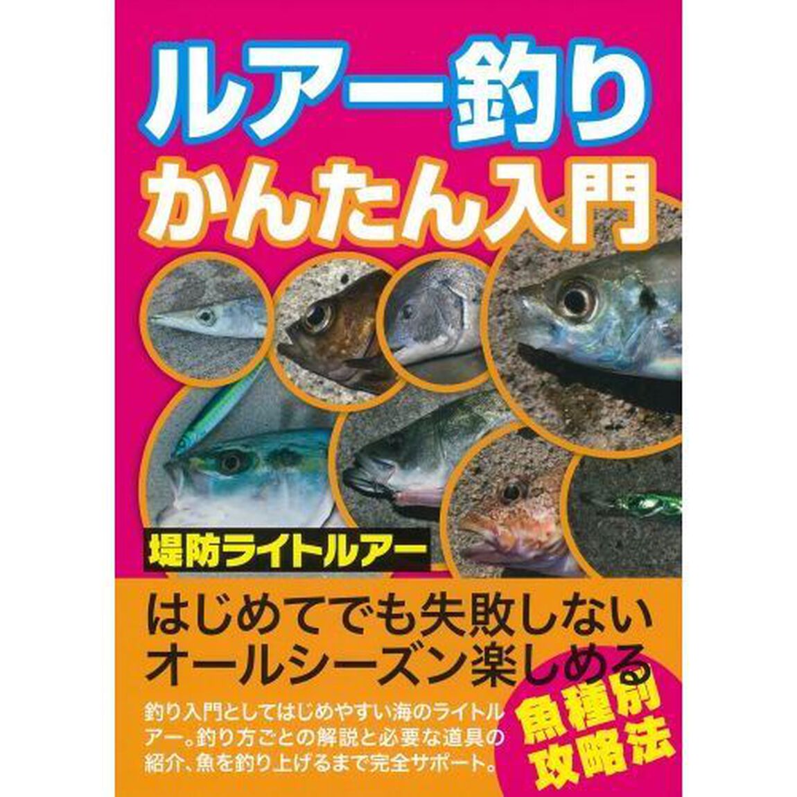 ルアー釣りかんたん入門　釣り入門としてはじめやすい海のライトルアー