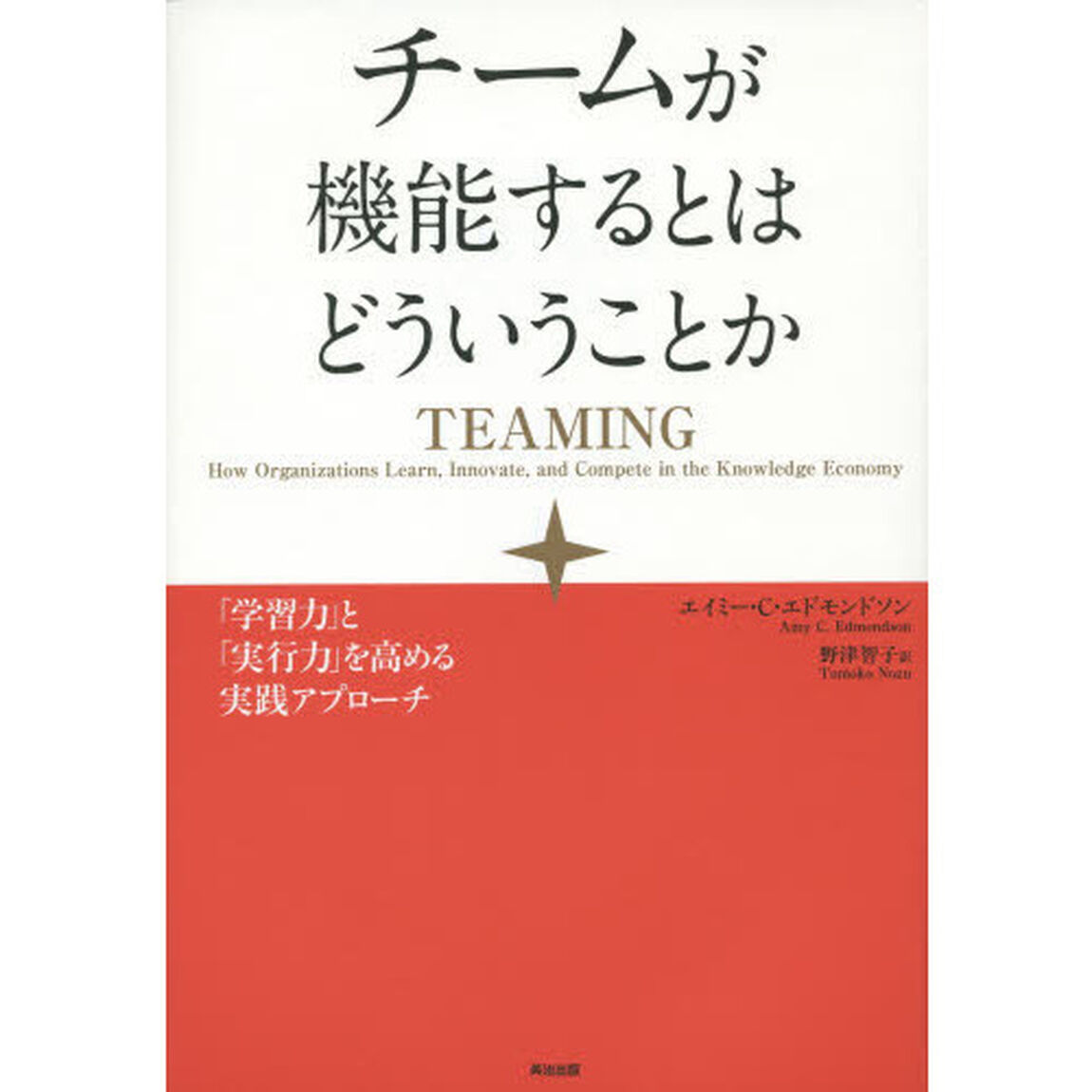 チームが機能するとはどういうことか　「学習力」と「実行力」を高める実践アプローチ