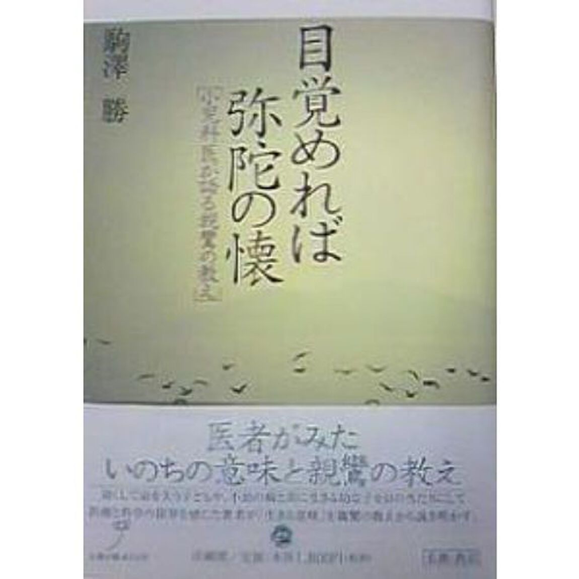 目覚めれば弥陀の懐　小児科医が語る親鸞の教え
