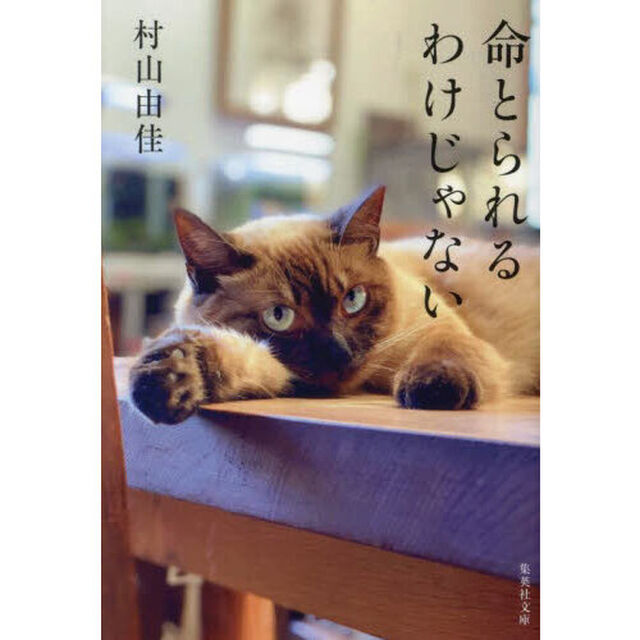 命とられるわけじゃない