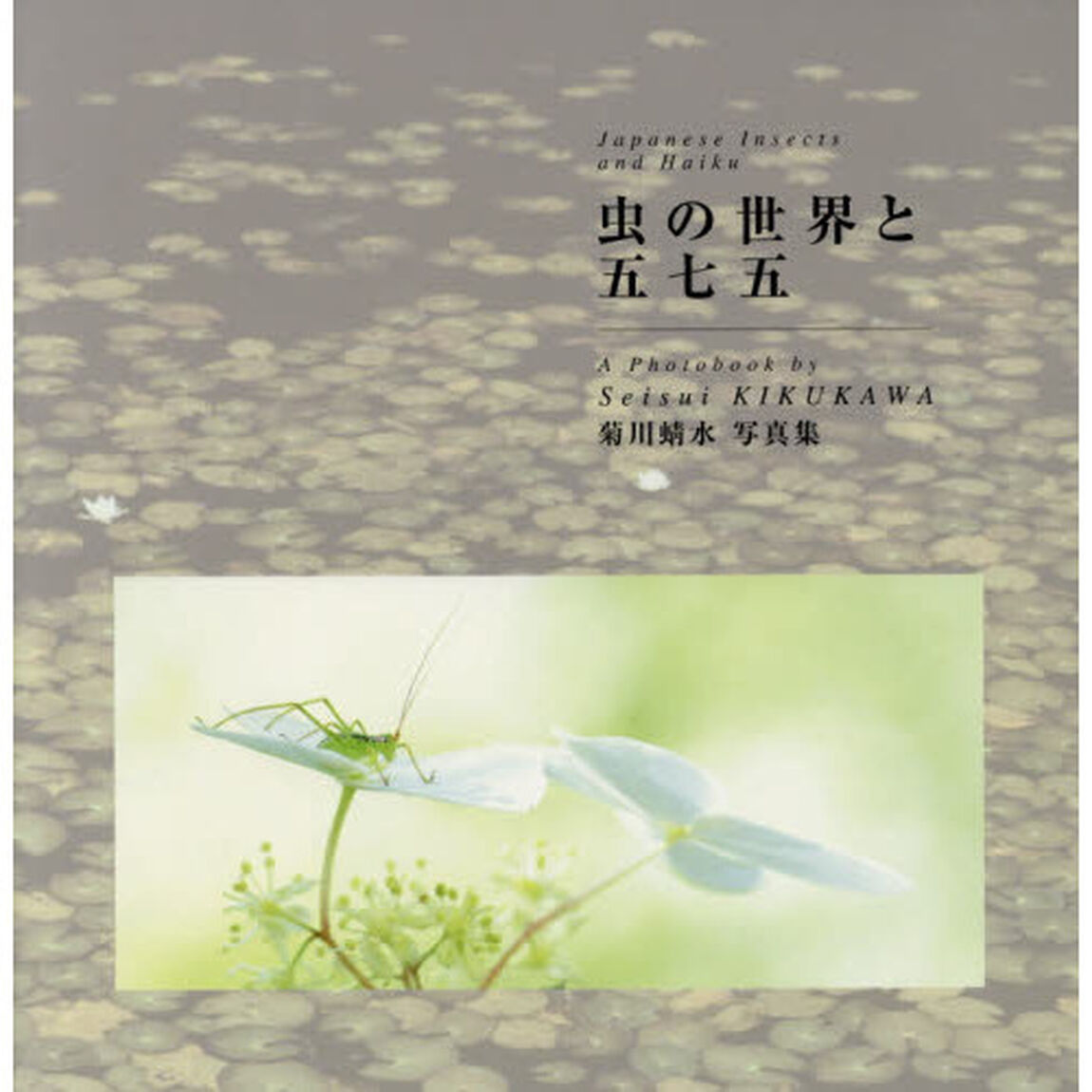 虫の世界と五七五　菊川蜻水写真集