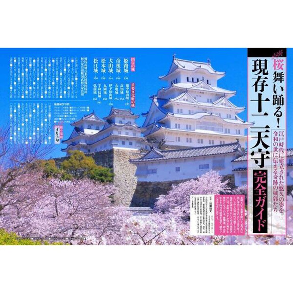 歴史道　Ｖｏｌ．２６「〈完全保存版〉いま、会いに行ける！江戸三百潘の名城大図鑑」