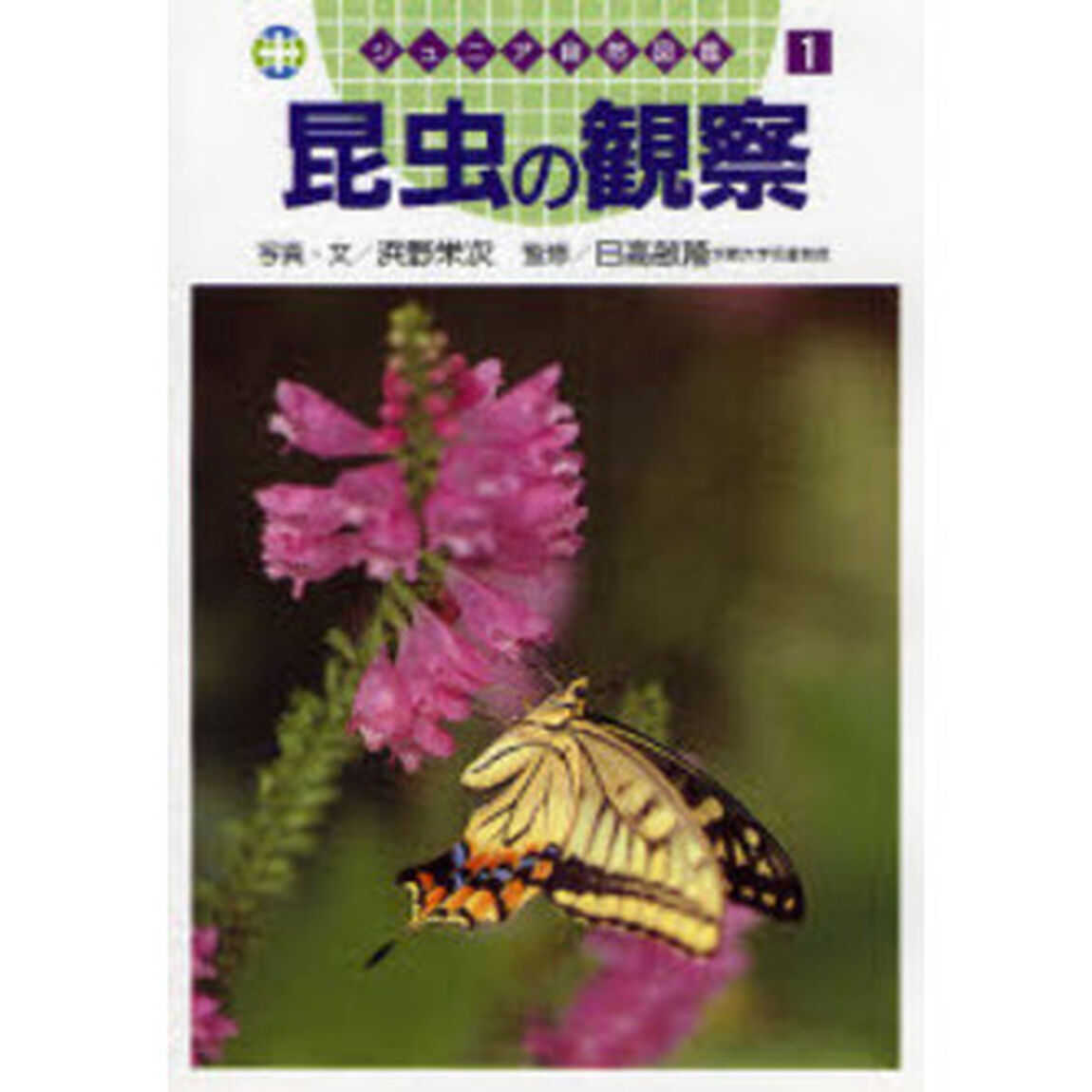 昆虫の観察
