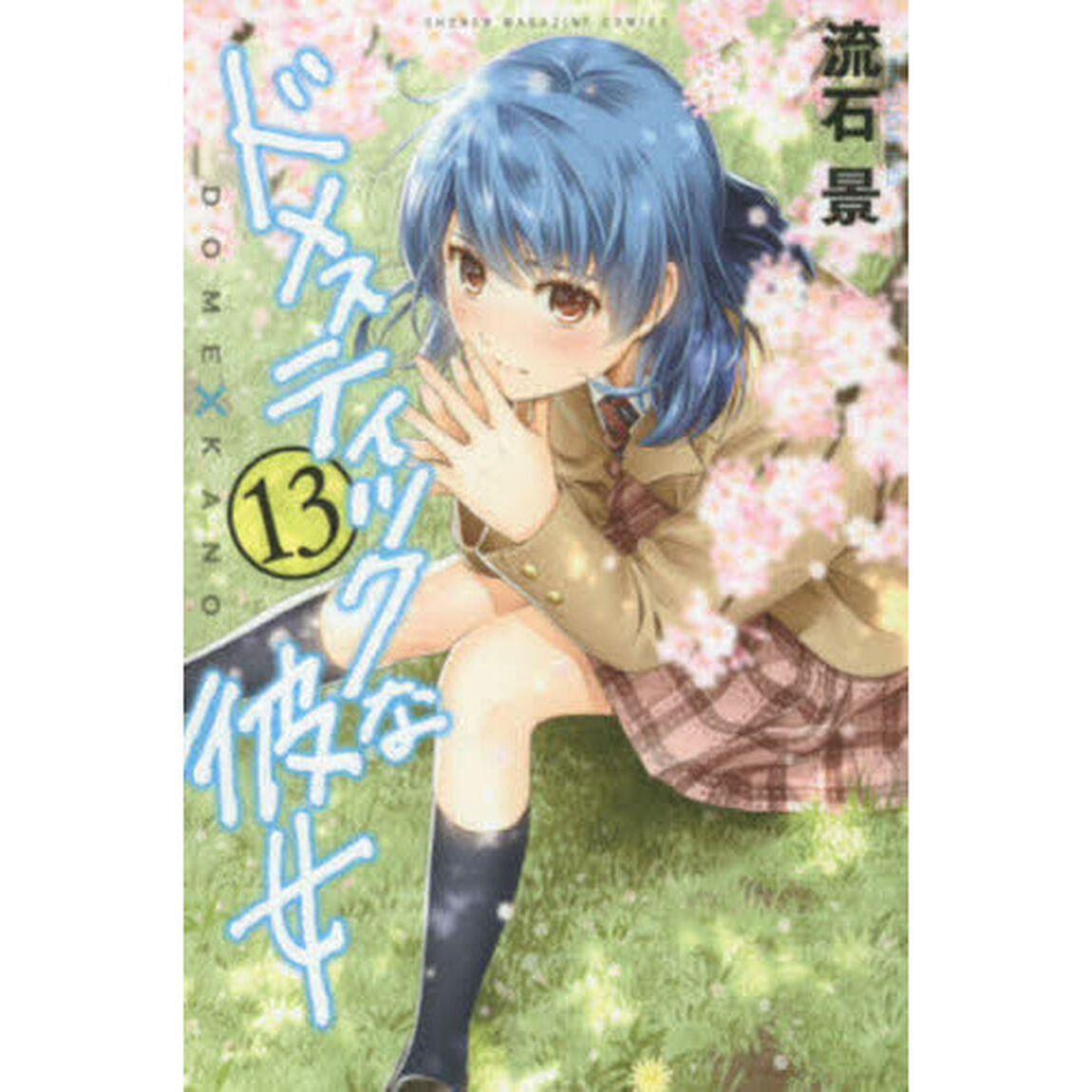 ドメスティックな彼女　１３