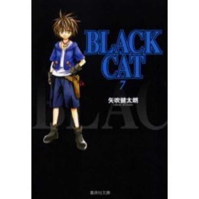 Ｂｌａｃｋ　ｃａｔ　７