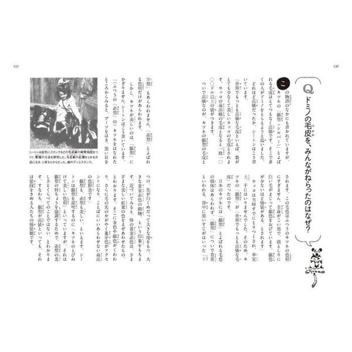 銀ギツネのドミノ