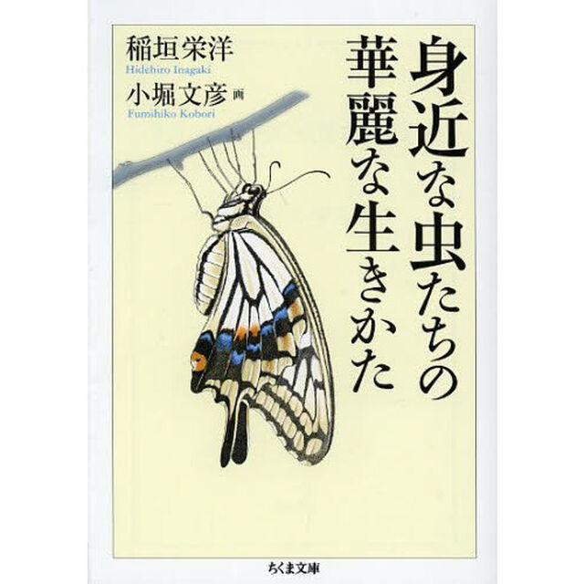 身近な虫たちの華麗な生きかた