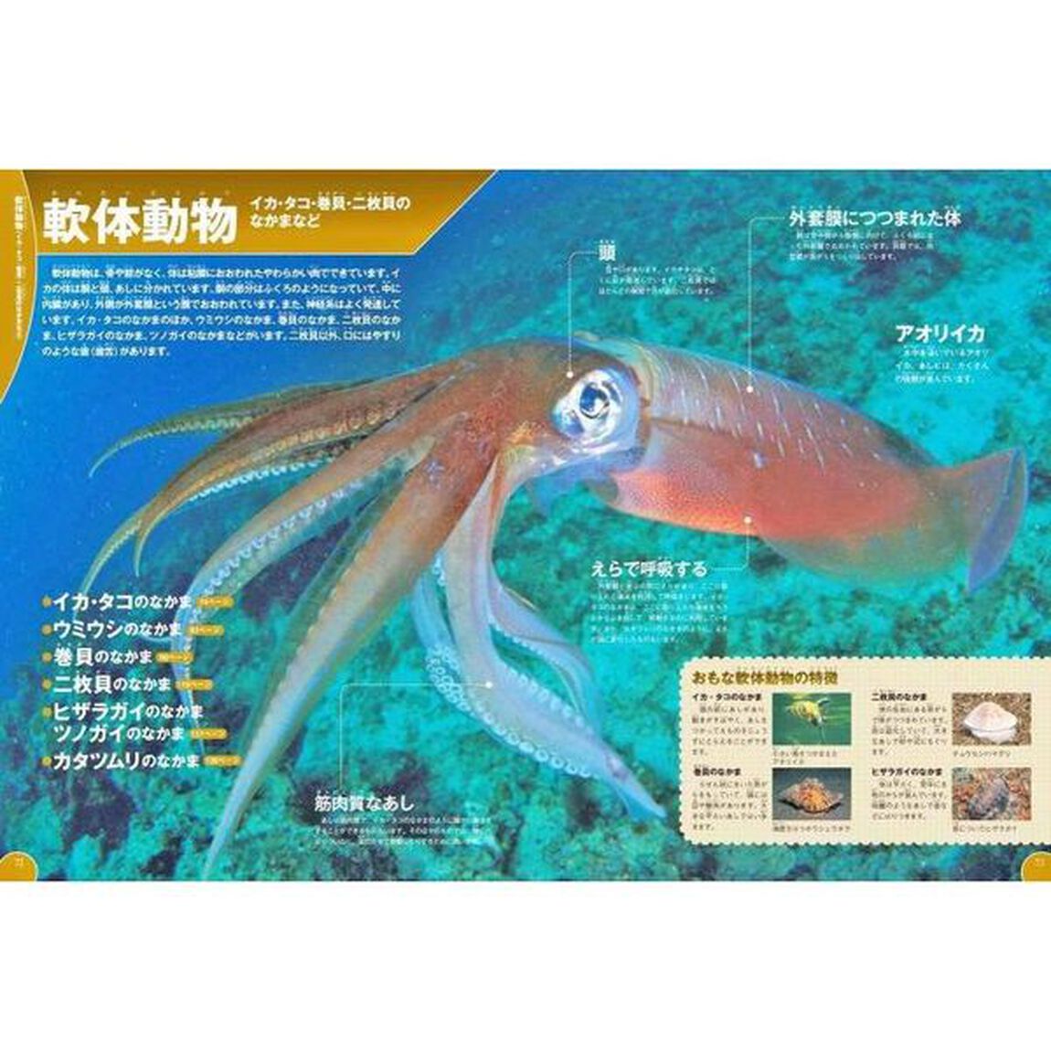 学研の図鑑LIVE　水の生き物