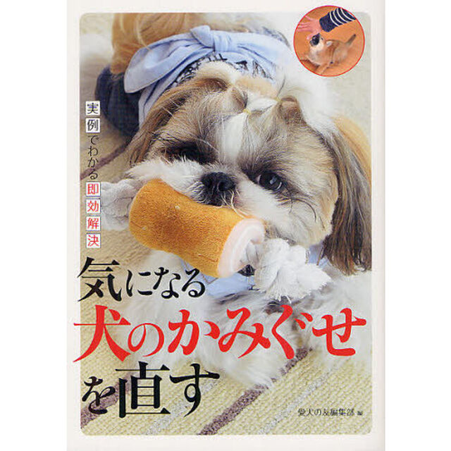 気になる犬のかみぐせを直す　実例でわかる即効解決