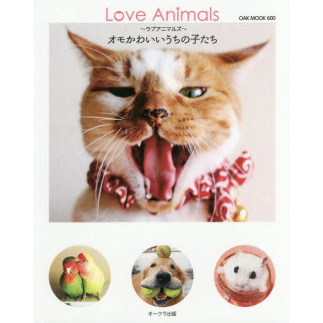 Ｌｏｖｅ　Ａｎｉｍａｌｓ　オモかわいいうちの子たち　かわいすぎてたまらんよ〜くふふっと笑える癒しの仲間たち