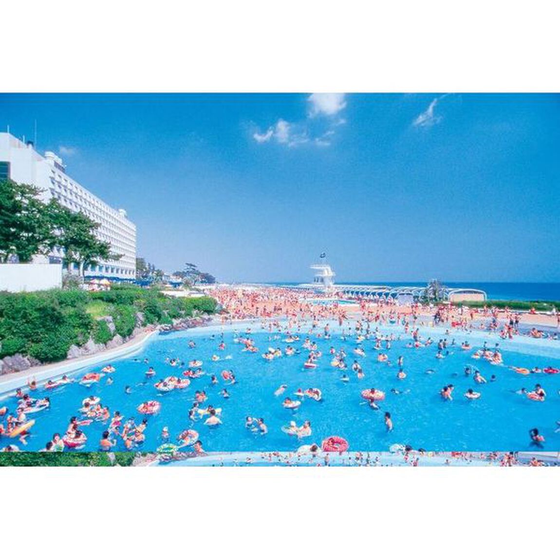 夏Ｗａｌｋｅｒ　首都圏版　２０１９