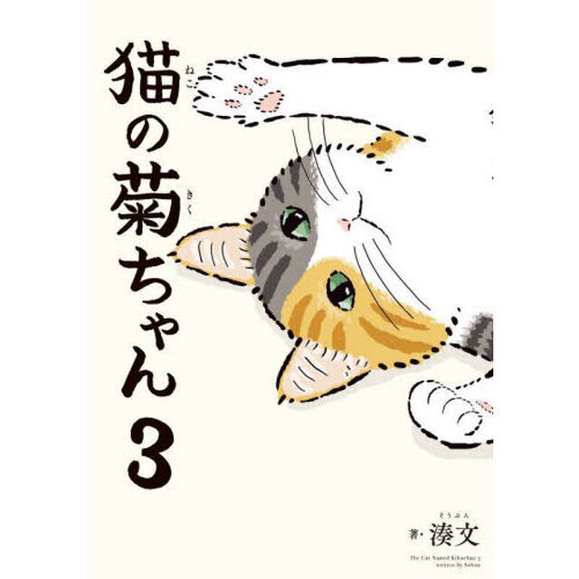猫の菊ちゃん　３