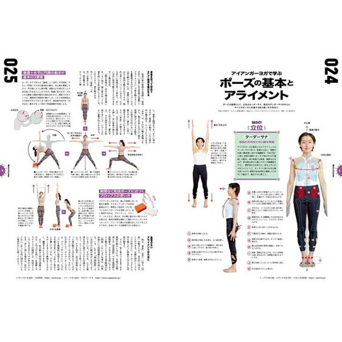 Ｙｏｇｉｎｉ　ヨガでシンプル・ビューティ・ライフ　ｖｏｌ．６５「特集あなたのヨガに生かせるアイアンガーヨガの基礎力」